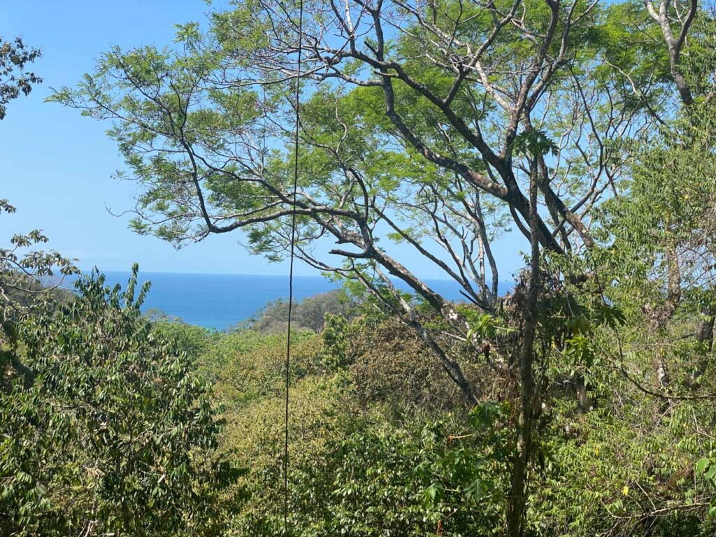 Características de la propiedad