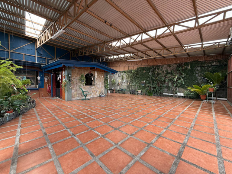 Imagen 3
