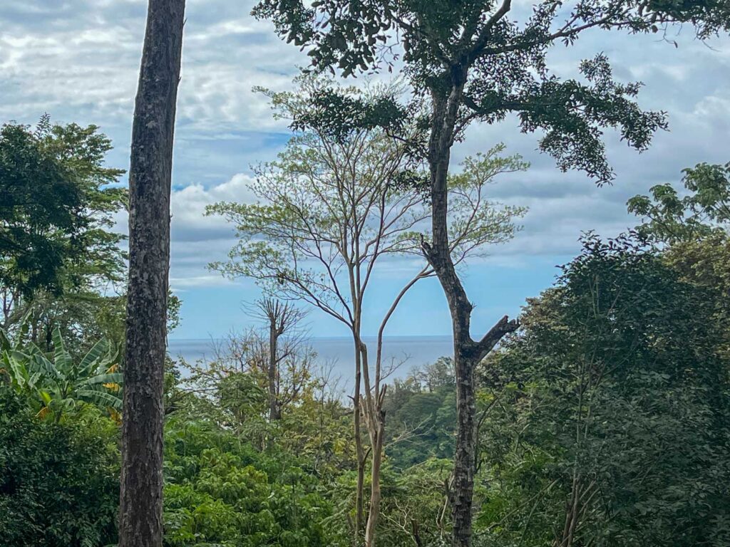 Características de la propiedad
