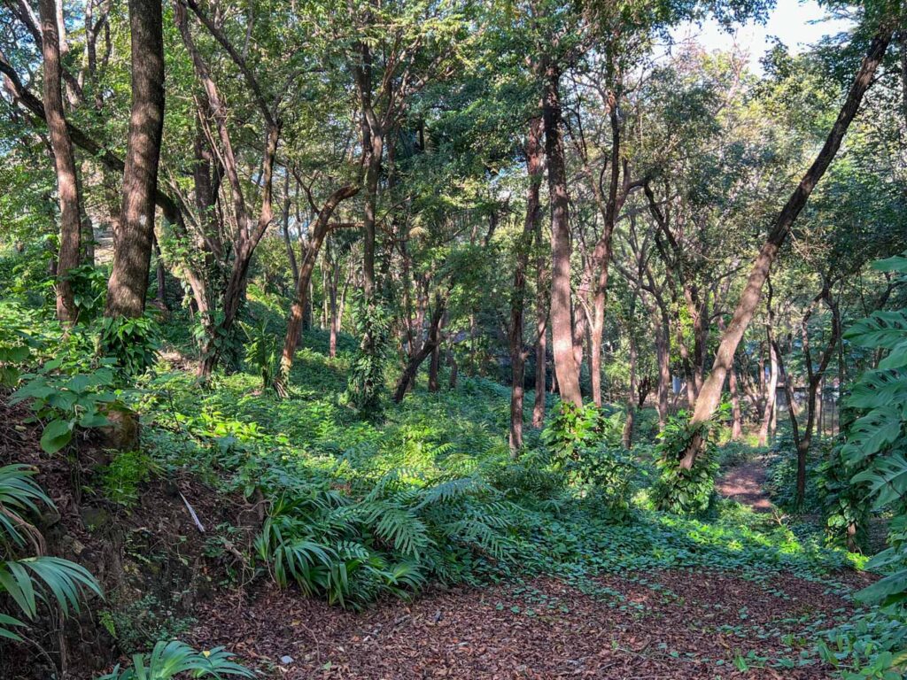 Características de la propiedad