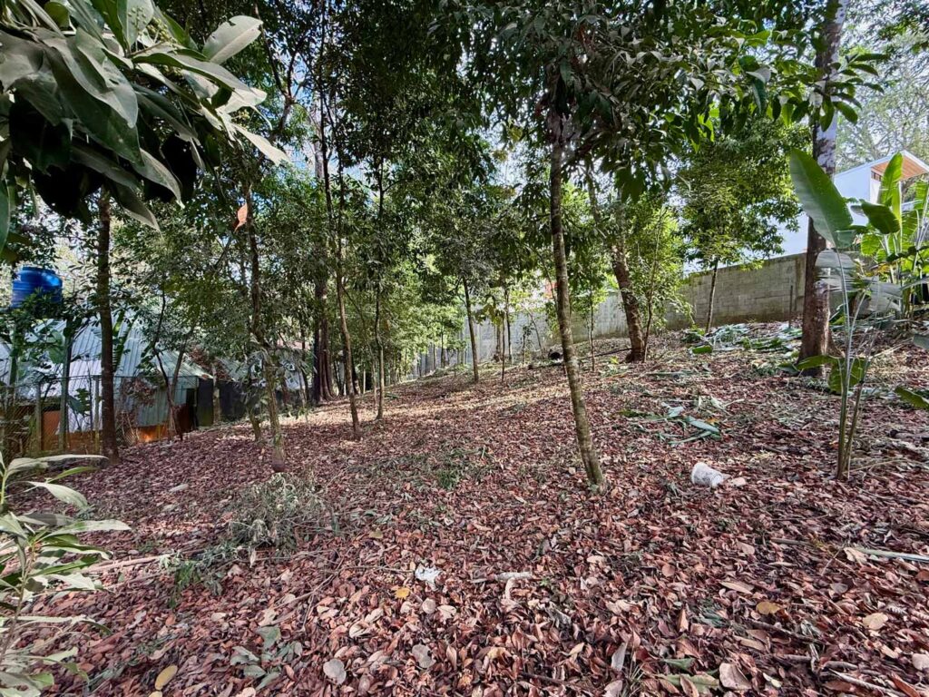 Características de la propiedad