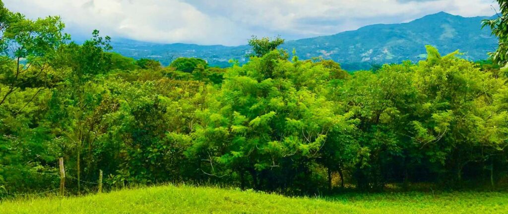 Características de la propiedad