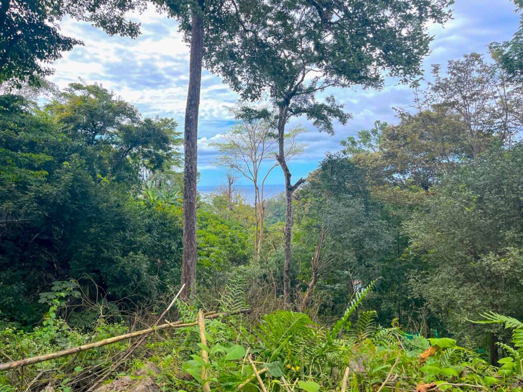 Características de la propiedad
