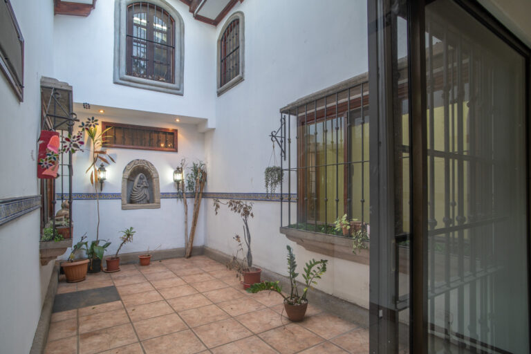 Imagen 8