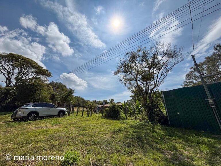 Imagen 7