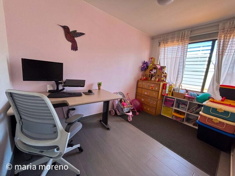 Imagen 15