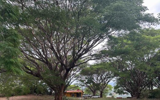 Hermoso Lote de 18800 mts2 en Venta en La Guácima de Alajuela, Ideal para Desarrollo, uso recreación .COD:128488