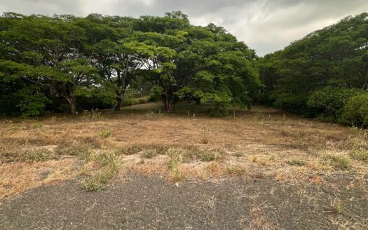 Hermoso Lote de 18800 mts2 en Venta en La Guácima de Alajuela, Ideal para Desarrollo, uso recreación .COD:128488