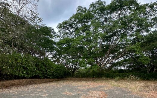 Hermoso Lote de 18800 mts2 en Venta en La Guácima de Alajuela, Ideal para Desarrollo, uso recreación .COD:128488