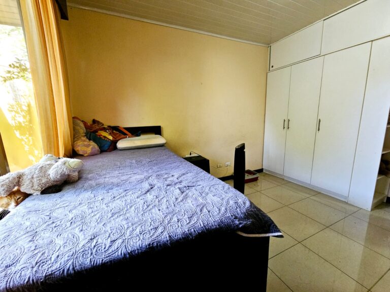 Imagen 16