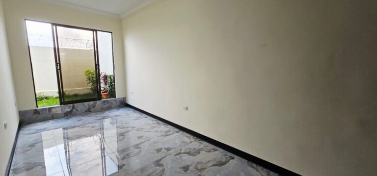 Imagen 11