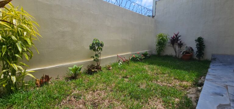 Imagen 22