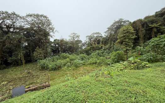 Hermosa Cabaña de Montaña, en Medio del Bosque Nuboso, Rodeado de Flora, Fauna y Paisajes en Cascajal de Coronado COD 131920