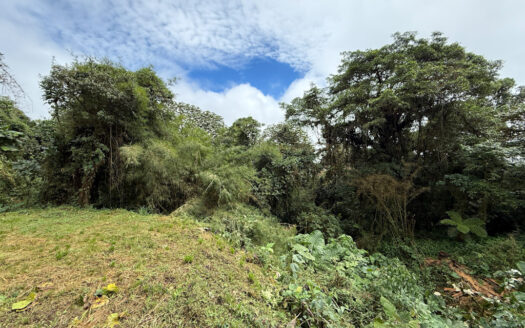 Hermosa Cabaña de Montaña, en Medio del Bosque Nuboso, Rodeado de Flora, Fauna y Paisajes en Cascajal de Coronado COD 131920
