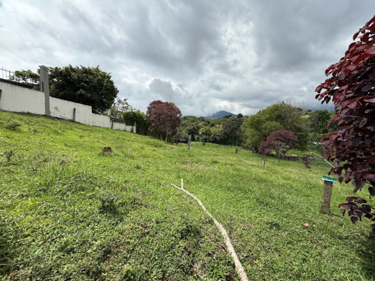 Imagen 4
