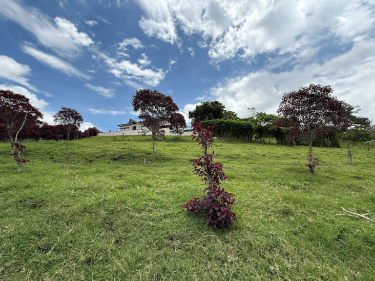 Imagen 9