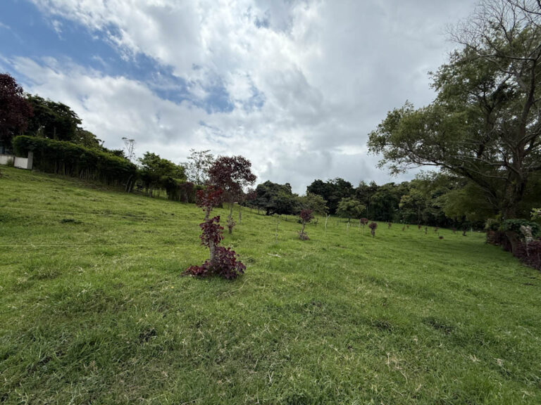 Imagen 10