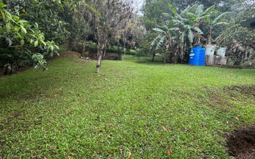 Oportunidad de Inversión: Propiedad de 49.000 m² en AguaCaliente, Cartago. Cod 134684