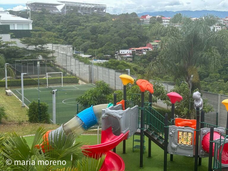 Imagen 10