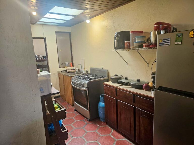 Imagen 11