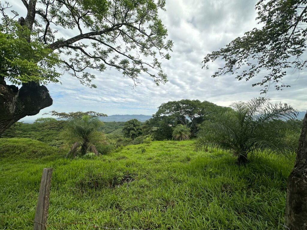 Características de la propiedad