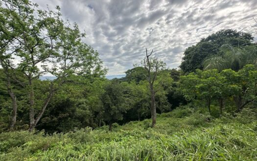 🌿 Oportunidad de Inversión: Hermoso Lote en ubicación estratégica  de 98.323 m² en Turrúcares, Alajuela.COD:133341