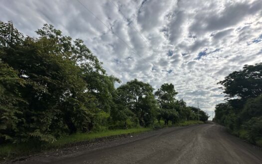 🌿 Oportunidad de Inversión: Hermoso Lote en ubicación estratégica  de 98.323 m² en Turrúcares, Alajuela.COD:133341