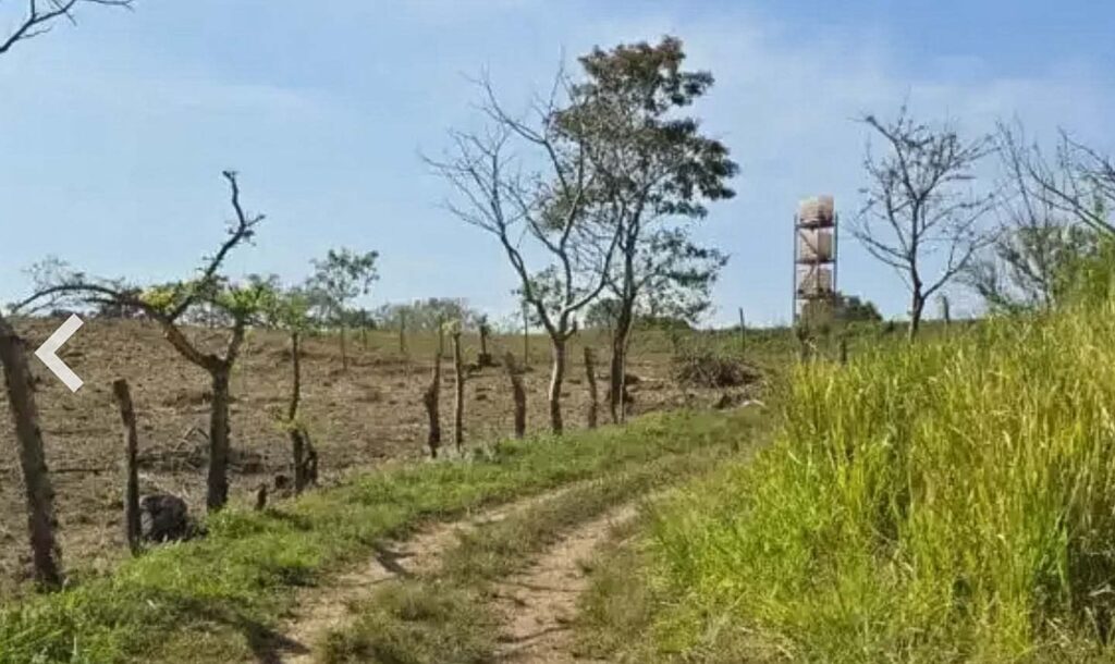 Características de la propiedad