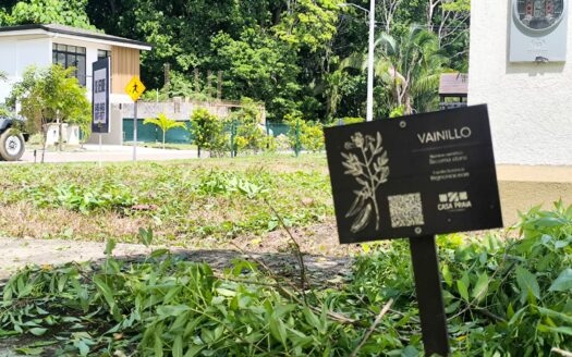 ¡Lote Esquinero en Venta en Casa Praia, Playa Jacó! A tan solo 5 minutos del mar🏖️ 174 m². Cod 134285