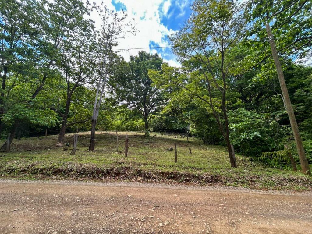 Características de la propiedad