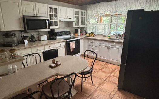 Oportunidad de Inversión: Propiedad de 49.000 m² en AguaCaliente, Cartago. Cod 134684