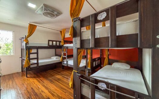En venta – Propiedad y negocio en tipo Hostel en Francisco Peralta, San José cod.136060