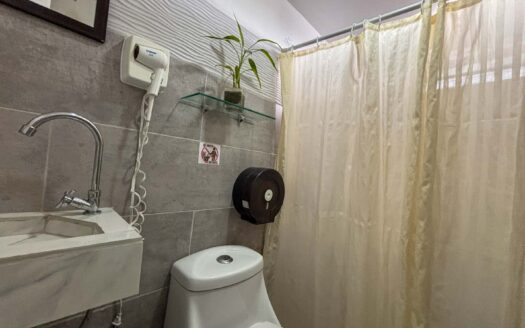 En venta – Propiedad y negocio en tipo Hostel en Francisco Peralta, San José cod.136060
