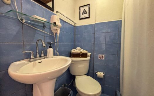 En venta – Propiedad y negocio en tipo Hostel en Francisco Peralta, San José cod.136060
