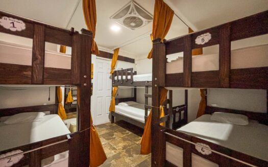En venta – Propiedad y negocio en tipo Hostel en Francisco Peralta, San José cod.136060