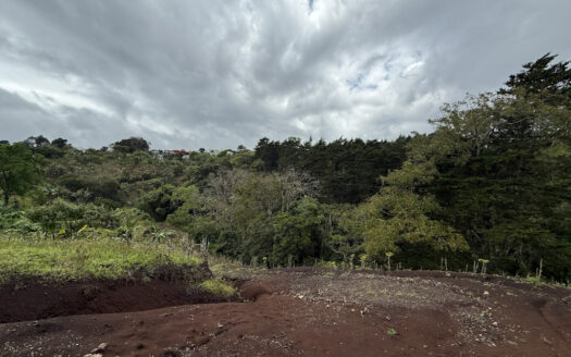 Venta de Finca de 104.371 m², Ideal para Agricultura y Ecoturismo por sus Vistas Panorámicas en Moravia COD 134939