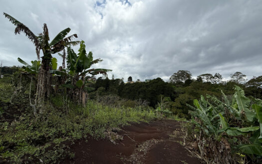 Venta de Finca de 104.371 m², Ideal para Agricultura y Ecoturismo por sus Vistas Panorámicas en Moravia COD 134939