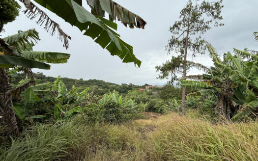 Venta de Finca de 104.371 m², Ideal para Agricultura y Ecoturismo por sus Vistas Panorámicas en Moravia COD 134939