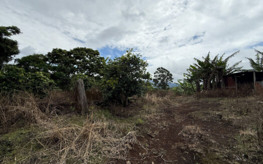 Venta de Finca de 104.371 m², Ideal para Agricultura y Ecoturismo por sus Vistas Panorámicas en Moravia COD 134939