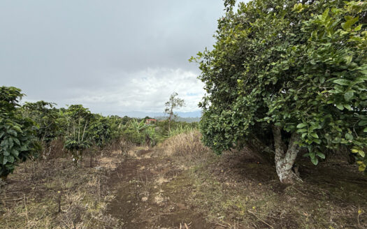 Venta de Finca de 104.371 m², Ideal para Agricultura y Ecoturismo por sus Vistas Panorámicas en Moravia COD 134939