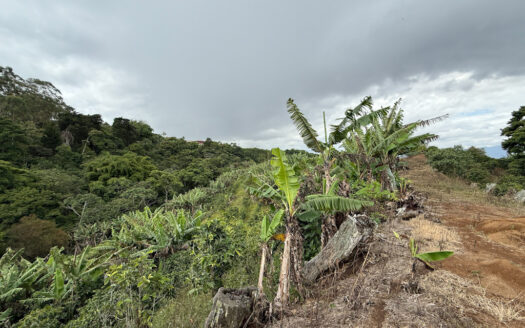Venta de Finca de 104.371 m², Ideal para Agricultura y Ecoturismo por sus Vistas Panorámicas en Moravia COD 134939