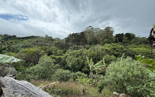 Venta de Finca de 104.371 m², Ideal para Agricultura y Ecoturismo por sus Vistas Panorámicas en Moravia COD 134939