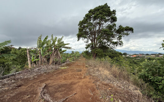 Venta de Finca de 104.371 m², Ideal para Agricultura y Ecoturismo por sus Vistas Panorámicas en Moravia COD 134939