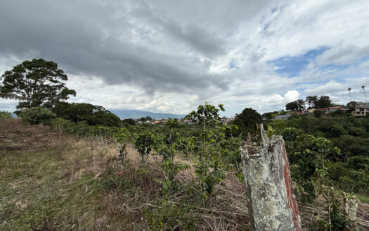 Venta de Finca de 104.371 m², Ideal para Agricultura y Ecoturismo por sus Vistas Panorámicas en Moravia COD 134939