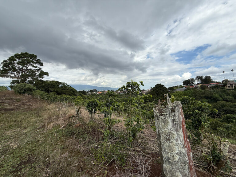 Imagen 11