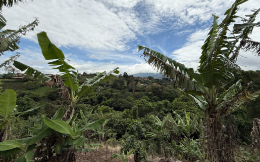 Venta de Finca de 104.371 m², Ideal para Agricultura y Ecoturismo por sus Vistas Panorámicas en Moravia COD 134939