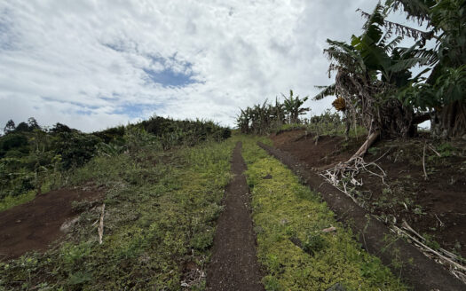 Venta de Finca de 104.371 m², Ideal para Agricultura y Ecoturismo por sus Vistas Panorámicas en Moravia COD 134939