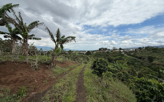 Venta de Finca de 104.371 m², Ideal para Agricultura y Ecoturismo por sus Vistas Panorámicas en Moravia COD 134939