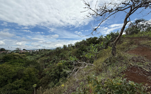 Venta de Finca de 104.371 m², Ideal para Agricultura y Ecoturismo por sus Vistas Panorámicas en Moravia COD 134939