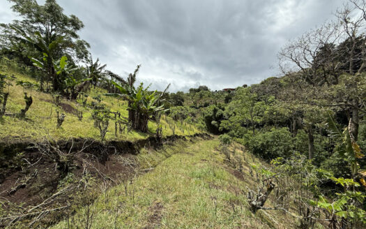 Venta de Finca de 104.371 m², Ideal para Agricultura y Ecoturismo por sus Vistas Panorámicas en Moravia COD 134939